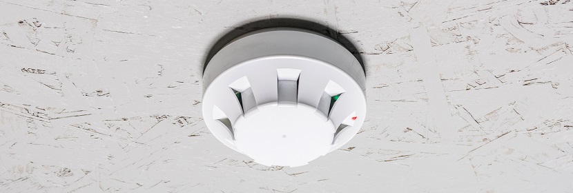 涉水產(chǎn)品檢測(cè)