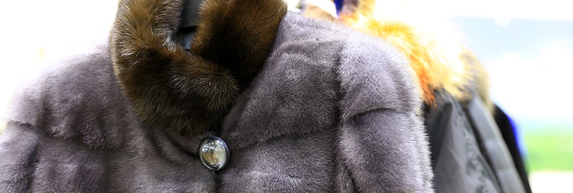 一本工程師必讀書籍《電子電氣工程師必知必會》！?歐盟RoHS附件IV擬新增一項汞豁免-虹彩檢測