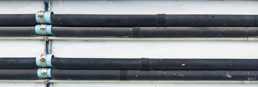 新冠抗體是什么 陽(yáng)康后為什么要檢測(cè)抗體 ?現(xiàn)代醫(yī)學(xué)是如何檢測(cè)病毒的 