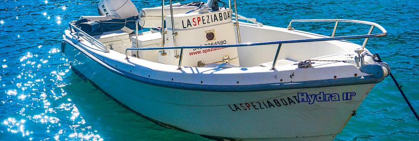 后疫情時(shí)代，我們應(yīng)該如何選擇消毒產(chǎn)品  ??如何查詢消毒殺菌產(chǎn)品的備案信息