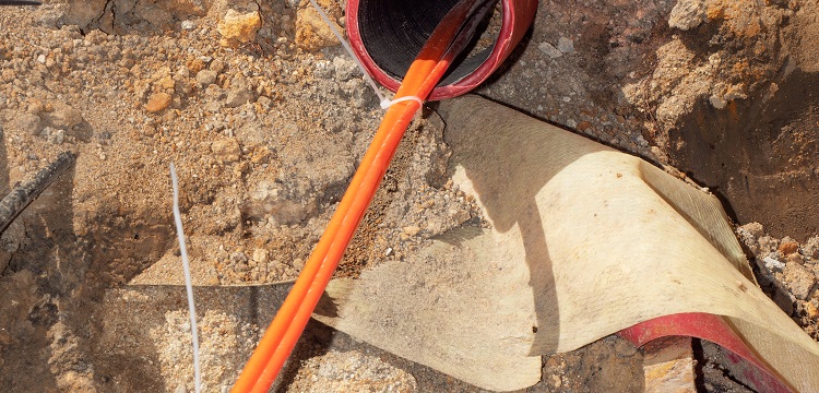 公共衛(wèi)生檢測項目及標準有哪些？