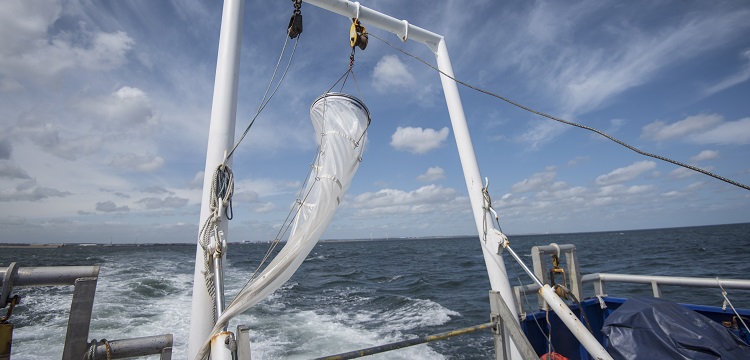 食品接觸材料檢測項目大匯總！