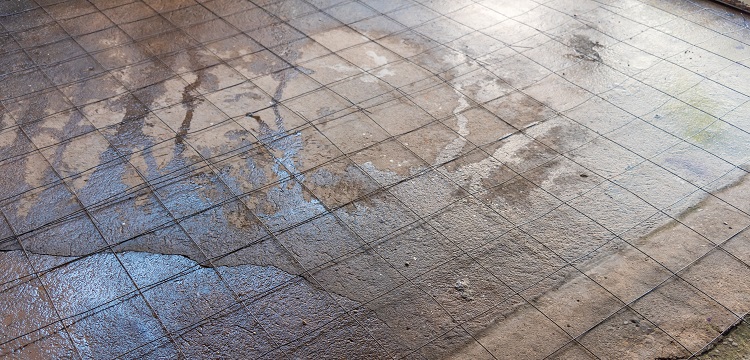 媒體報道多個電商平臺有售「造假消毒液」，用「甲醇冒充酒精」售賣，甲醇對人體的危害有多大 如何辨別 ?寵物醫(yī)院用什么消毒液? 健明迪檢測