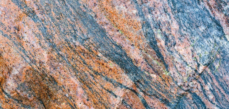 2022年廣東省最新林業(yè)碳匯申報要求匯總：方法學(xué)、申報模板、材料清單