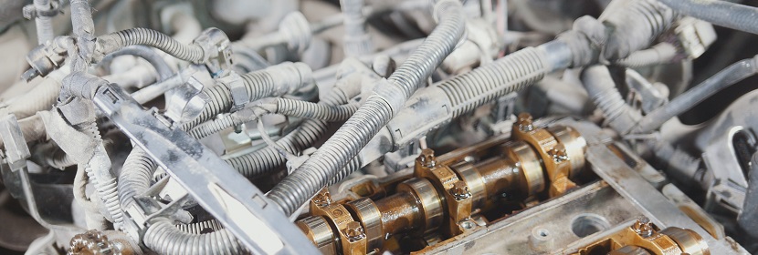 生物相容性檢測(cè)機(jī)構(gòu)：生物相容性評(píng)價(jià)方法介紹