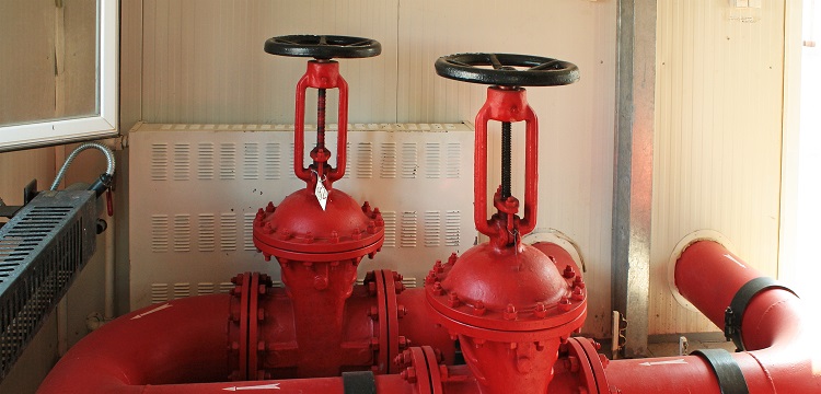 微生物安全健康網(wǎng)，微生物檢測如何規(guī)范操作 ?在微生物檢測實踐中，什么時候需要檢測參考菌群 參考菌群的檢測有何意義 ?健明迪