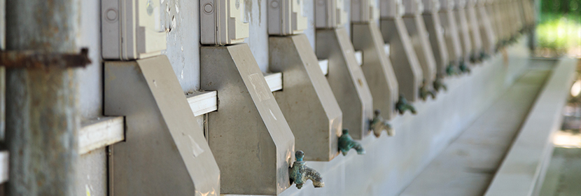 飲用水質(zhì)檢測(cè)/監(jiān)測(cè)