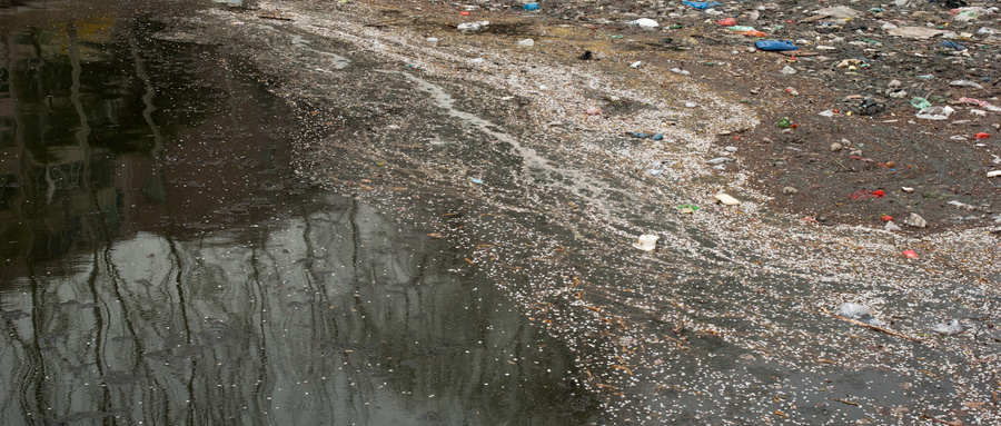 土壤調(diào)查評估