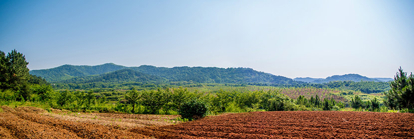 耕地質(zhì)量評價(jià)