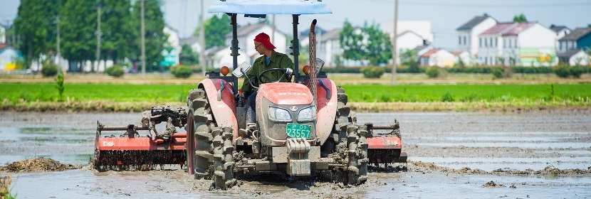農(nóng)用醇醚柴油檢測(cè)