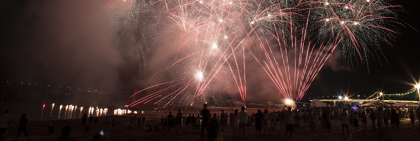 煙花爆竹熱穩(wěn)定性試驗(yàn)