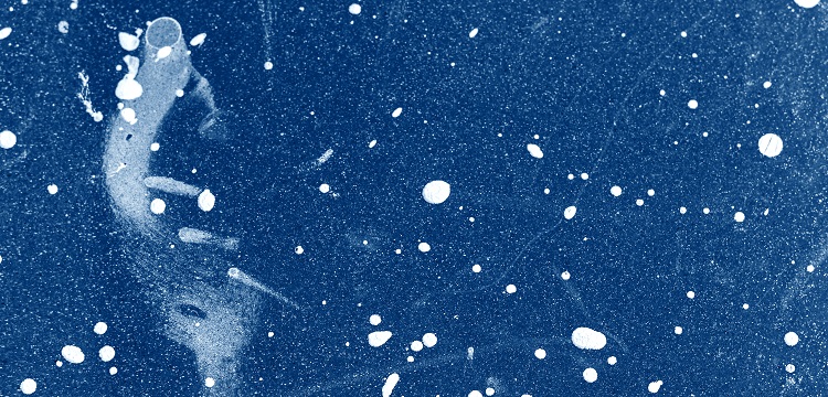 燃燒速度檢測(cè)