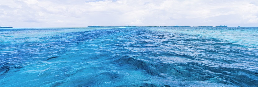 生態(tài)板檢測(cè)