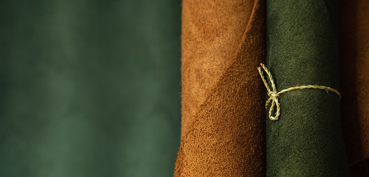 轉(zhuǎn)子檢測