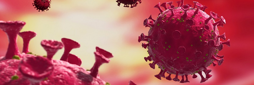 毒理學(xué)試驗(yàn)評(píng)估