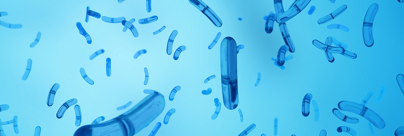 細(xì)菌回復(fù)突變試驗(yàn)