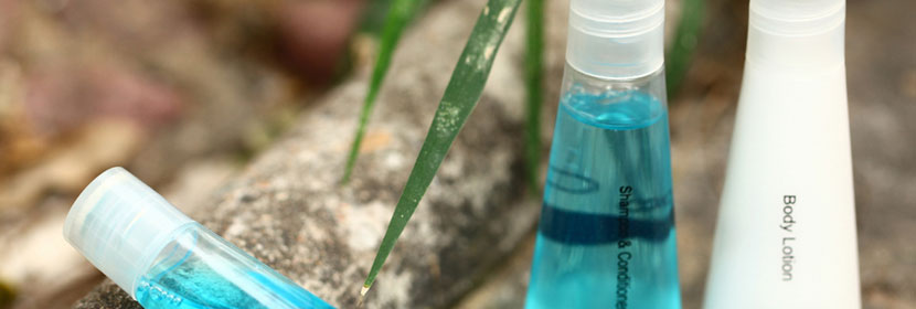 繁殖毒性試驗(yàn)