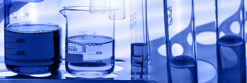 昆蟲(chóng)鑒定