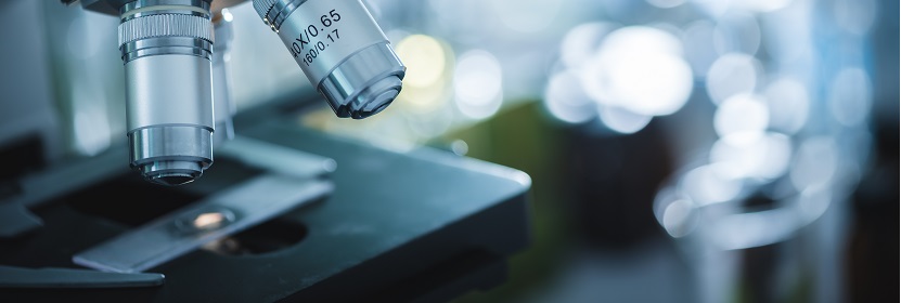 食品包裝用紙與塑料復(fù)合膜、袋檢測(cè)