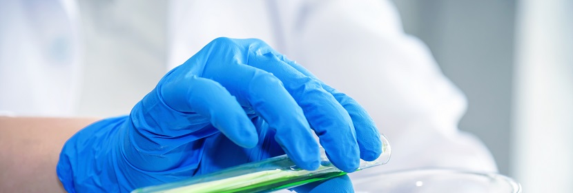 聚丙烯樹(shù)脂粉料檢測(cè)